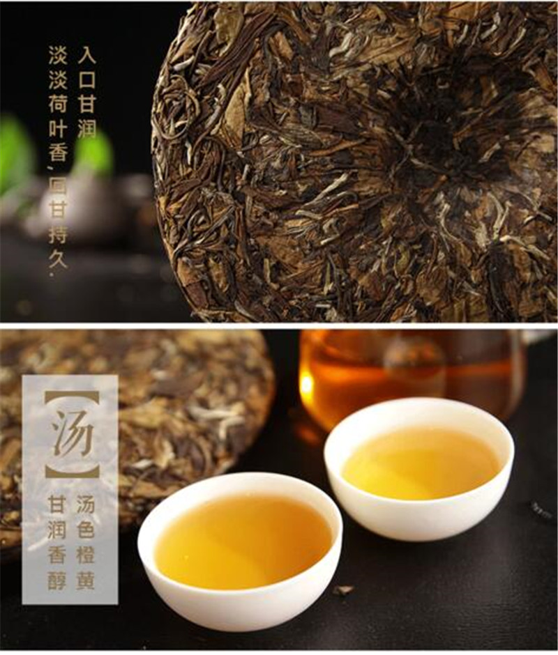 福鼎白茶 老寿眉